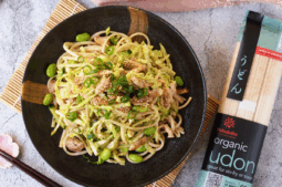 Shredded Chicken Udon Noodle Salad with Japanese-Style Dressing
