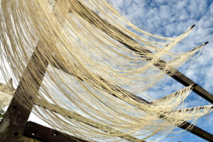 The 4 Wonder Ingredients of Hokkien Cuisine