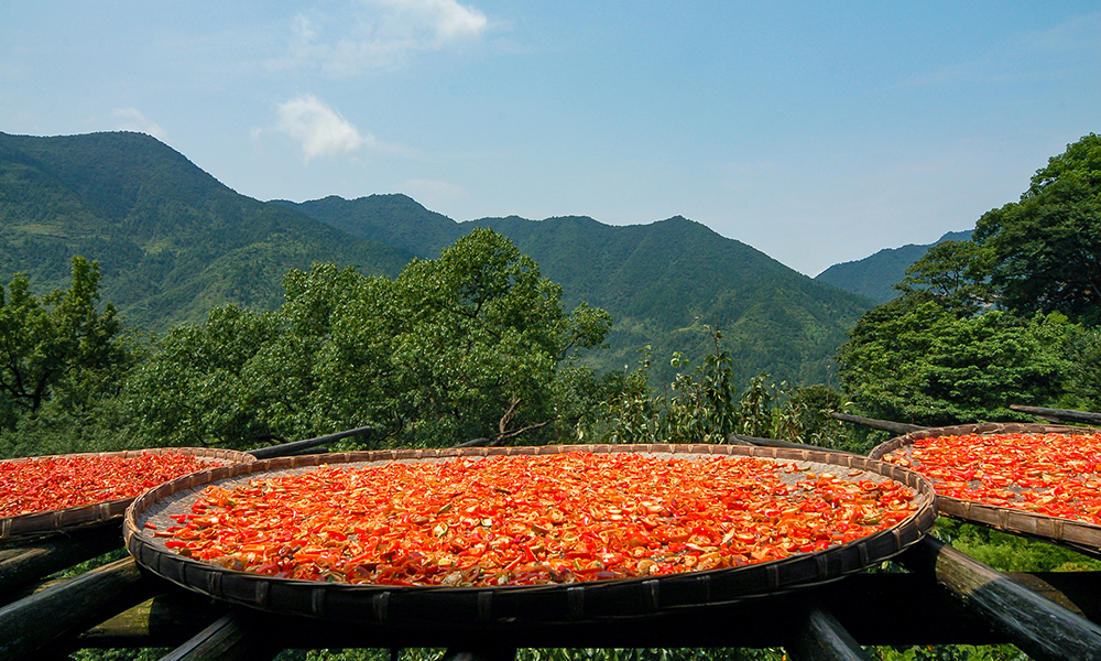 Anhui Learn More