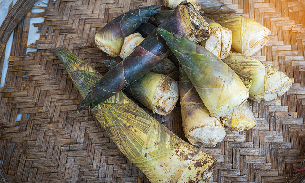 Anhui Rustic Flavours