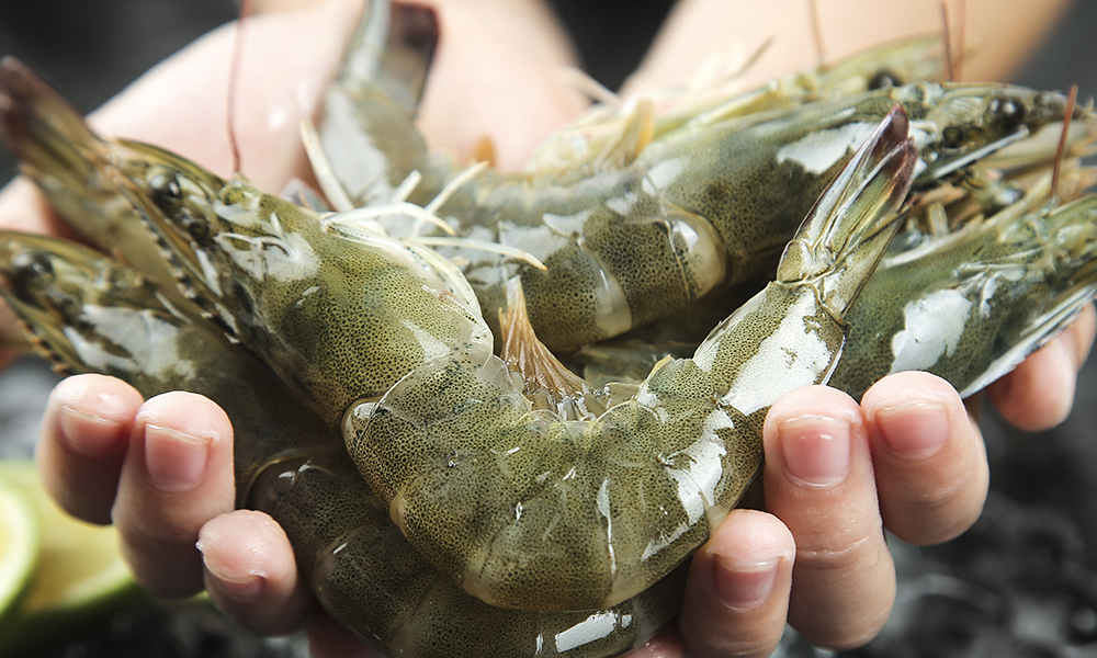 lu cuisine seafood