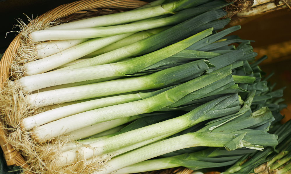 leek