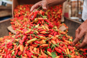 Chilli Round The Clock