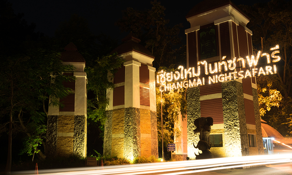 5 Fun Family Activities to Enjoy in Chiang Mai