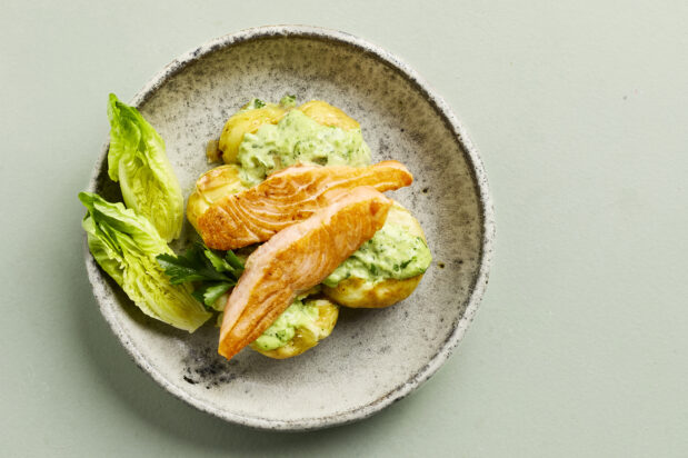 Quick Cured Seared Salmon with Wasabi Potato Salad
